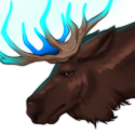 Frost Elk-Moira-Headshot.png