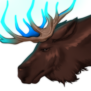 Frost Elk-Moira-Headshot.png