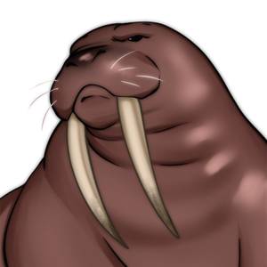 Walrus-Moira-Headshot.png