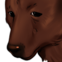 Bear-WikiHeadshot.png