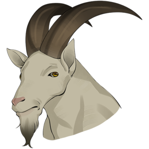 Mountain Goats-Moira-Headshot.png
