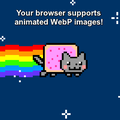Animated-webp-supported.webp